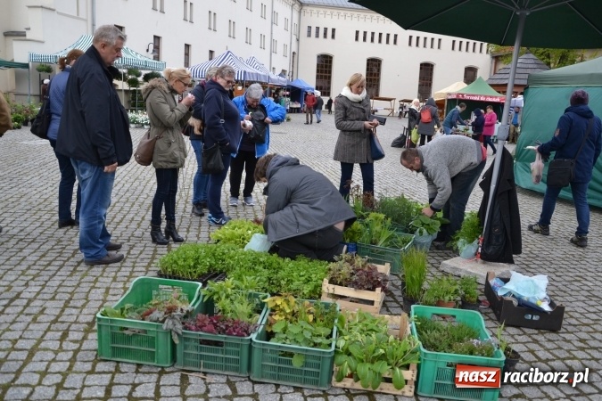 Zdjęcie w galerii na portalu naszraciborz.pl: V Zamkowy Jarmark kwiatów, żywności ekologicznej i rękodzieła na Zamku Piastowskim za nami  wiadomości z regionu