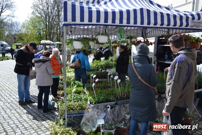 Zdjęcie w galerii na portalu naszraciborz.pl: V Zamkowy Jarmark kwiatów, żywności ekologicznej i rękodzieła na Zamku Piastowskim za nami  wiadomości z regionu