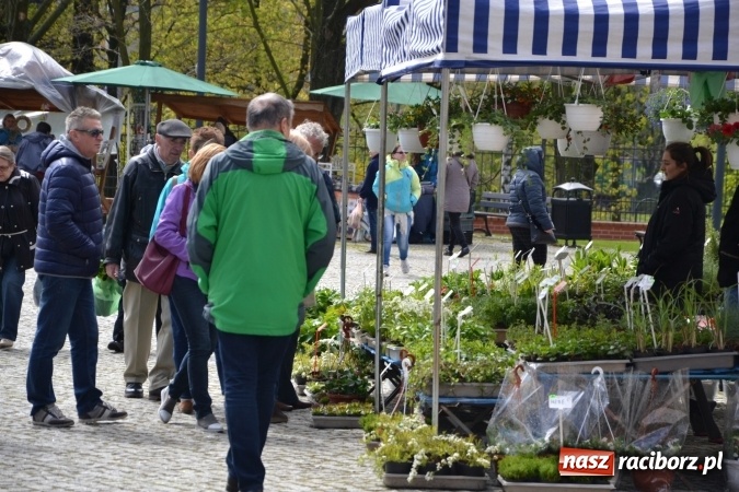 Zdjęcie w galerii na portalu naszraciborz.pl: V Zamkowy Jarmark kwiatów, żywności ekologicznej i rękodzieła na Zamku Piastowskim za nami  wiadomości z regionu