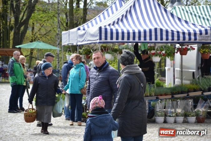 Zdjęcie w galerii na portalu naszraciborz.pl: V Zamkowy Jarmark kwiatów, żywności ekologicznej i rękodzieła na Zamku Piastowskim za nami  wiadomości z regionu