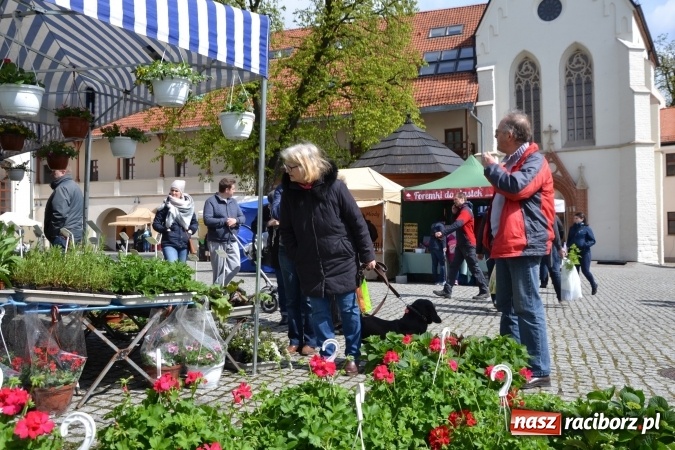 Zdjęcie w galerii na portalu naszraciborz.pl: V Zamkowy Jarmark kwiatów, żywności ekologicznej i rękodzieła na Zamku Piastowskim za nami  wiadomości z regionu