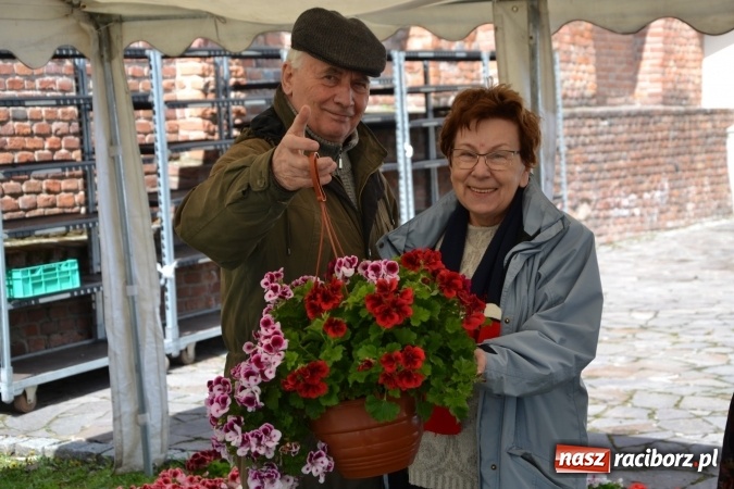 Zdjęcie w galerii na portalu naszraciborz.pl: V Zamkowy Jarmark kwiatów, żywności ekologicznej i rękodzieła na Zamku Piastowskim za nami  wiadomości z regionu