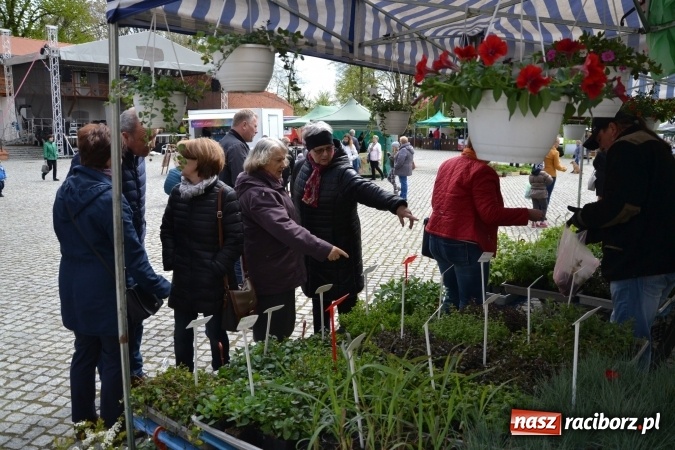 Zdjęcie w galerii na portalu naszraciborz.pl: V Zamkowy Jarmark kwiatów, żywności ekologicznej i rękodzieła na Zamku Piastowskim za nami  wiadomości z regionu