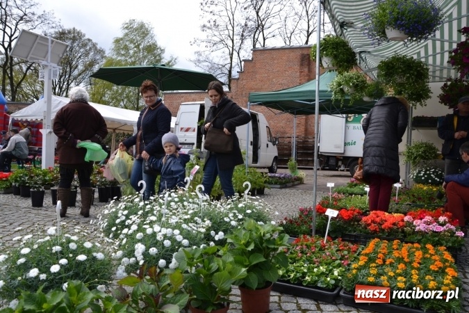 Zdjęcie w galerii na portalu naszraciborz.pl: V Zamkowy Jarmark kwiatów, żywności ekologicznej i rękodzieła na Zamku Piastowskim za nami  wiadomości z regionu