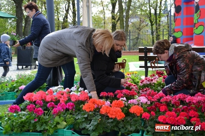 Zdjęcie w galerii na portalu naszraciborz.pl: V Zamkowy Jarmark kwiatów, żywności ekologicznej i rękodzieła na Zamku Piastowskim za nami  wiadomości z regionu