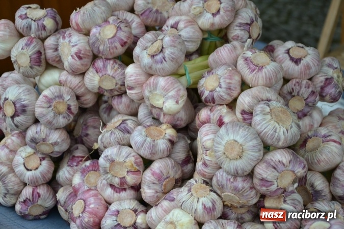 Zdjęcie w galerii na portalu naszraciborz.pl: V Zamkowy Jarmark kwiatów, żywności ekologicznej i rękodzieła na Zamku Piastowskim za nami  wiadomości z regionu