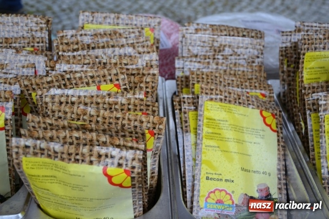 Zdjęcie w galerii na portalu naszraciborz.pl: V Zamkowy Jarmark kwiatów, żywności ekologicznej i rękodzieła na Zamku Piastowskim za nami  wiadomości z regionu