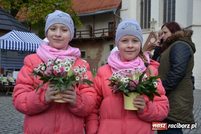 Zdjęcie w galerii na portalu naszraciborz.pl: V Zamkowy Jarmark kwiatów, żywności ekologicznej i rękodzieła na Zamku Piastowskim za nami  wiadomości z regionu