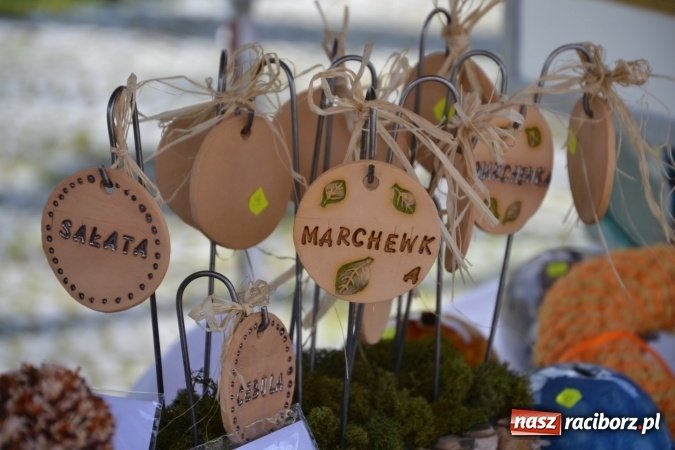 Zdjęcie w galerii na portalu naszraciborz.pl: V Zamkowy Jarmark kwiatów, żywności ekologicznej i rękodzieła na Zamku Piastowskim za nami  wiadomości z regionu