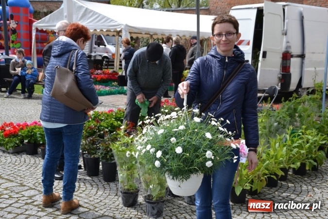 Zdjęcie w galerii na portalu naszraciborz.pl: V Zamkowy Jarmark kwiatów, żywności ekologicznej i rękodzieła na Zamku Piastowskim za nami  wiadomości z regionu