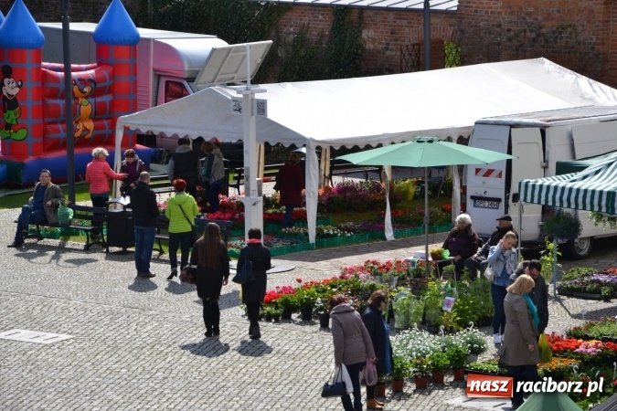 Zdjęcie w galerii na portalu naszraciborz.pl: V Zamkowy Jarmark kwiatów, żywności ekologicznej i rękodzieła na Zamku Piastowskim za nami  wiadomości z regionu