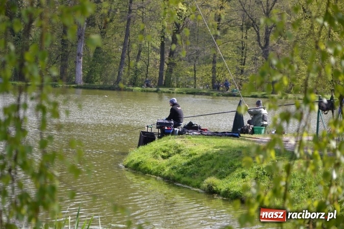 Zdjęcie w galerii na portalu naszraciborz.pl: Deszcz, grad, wiatr, czasem słońce na otwarcie sezonu wędkarskiego w Tworkowie  wiadomości z regionu