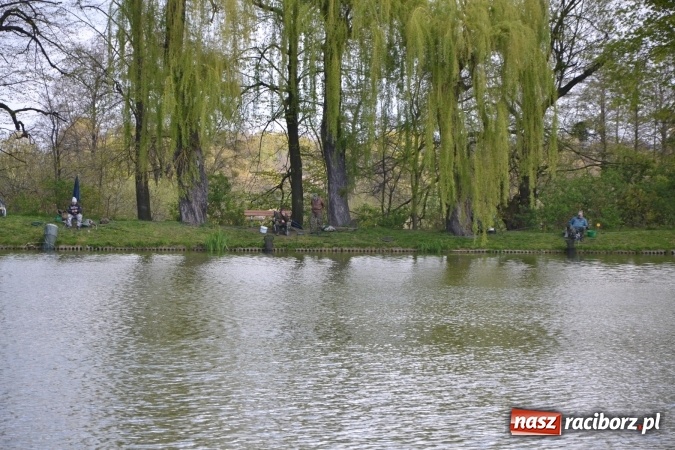 Zdjęcie w galerii na portalu naszraciborz.pl: Deszcz, grad, wiatr, czasem słońce na otwarcie sezonu wędkarskiego w Tworkowie  wiadomości z regionu