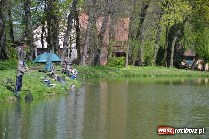 Zdjęcie w galerii na portalu naszraciborz.pl: Deszcz, grad, wiatr, czasem słońce na otwarcie sezonu wędkarskiego w Tworkowie  wiadomości z regionu