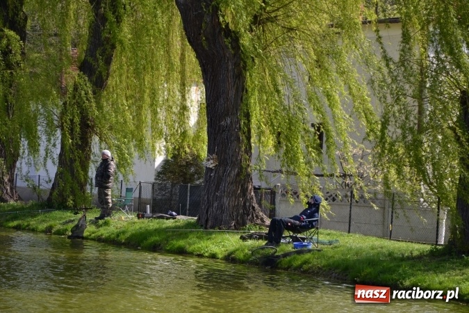 Zdjęcie w galerii na portalu naszraciborz.pl: Deszcz, grad, wiatr, czasem słońce na otwarcie sezonu wędkarskiego w Tworkowie  wiadomości z regionu