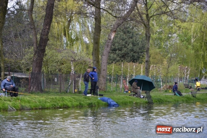 Zdjęcie w galerii na portalu naszraciborz.pl: Deszcz, grad, wiatr, czasem słońce na otwarcie sezonu wędkarskiego w Tworkowie  wiadomości z regionu