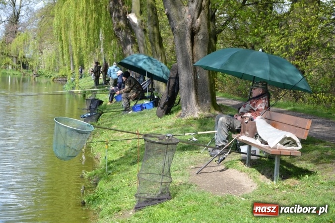 Zdjęcie w galerii na portalu naszraciborz.pl: Deszcz, grad, wiatr, czasem słońce na otwarcie sezonu wędkarskiego w Tworkowie  wiadomości z regionu
