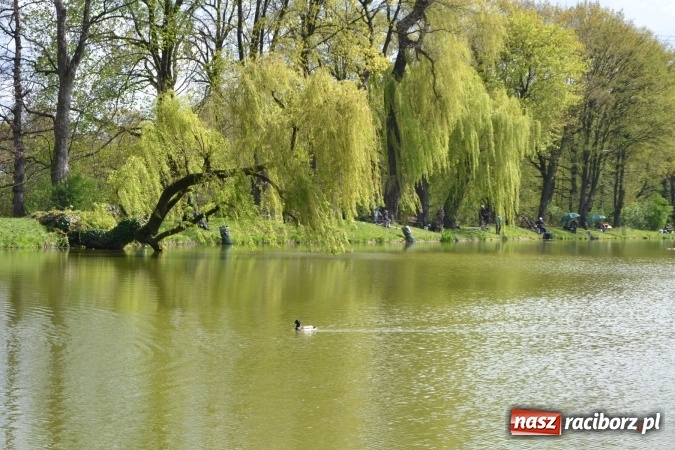 Zdjęcie w galerii na portalu naszraciborz.pl: Deszcz, grad, wiatr, czasem słońce na otwarcie sezonu wędkarskiego w Tworkowie  wiadomości z regionu