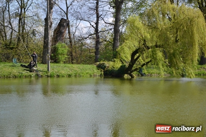 Zdjęcie w galerii na portalu naszraciborz.pl: Deszcz, grad, wiatr, czasem słońce na otwarcie sezonu wędkarskiego w Tworkowie  wiadomości z regionu