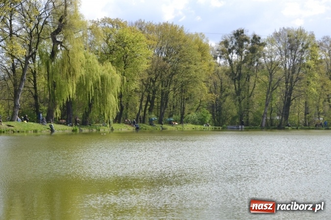 Zdjęcie w galerii na portalu naszraciborz.pl: Deszcz, grad, wiatr, czasem słońce na otwarcie sezonu wędkarskiego w Tworkowie  wiadomości z regionu