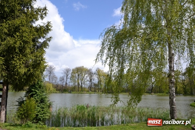 Zdjęcie w galerii na portalu naszraciborz.pl: Deszcz, grad, wiatr, czasem słońce na otwarcie sezonu wędkarskiego w Tworkowie  wiadomości z regionu