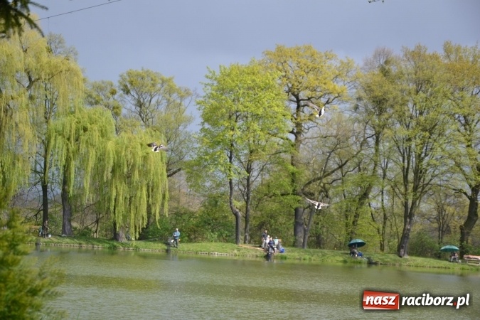 Zdjęcie w galerii na portalu naszraciborz.pl: Deszcz, grad, wiatr, czasem słońce na otwarcie sezonu wędkarskiego w Tworkowie  wiadomości z regionu