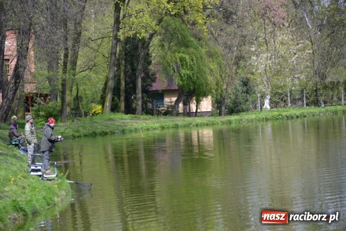 Zdjęcie w galerii na portalu naszraciborz.pl: Deszcz, grad, wiatr, czasem słońce na otwarcie sezonu wędkarskiego w Tworkowie  wiadomości z regionu