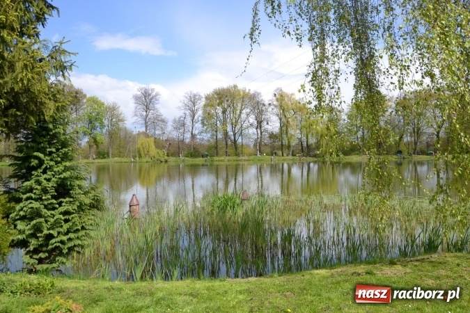 Zdjęcie w galerii na portalu naszraciborz.pl: Deszcz, grad, wiatr, czasem słońce na otwarcie sezonu wędkarskiego w Tworkowie  wiadomości z regionu