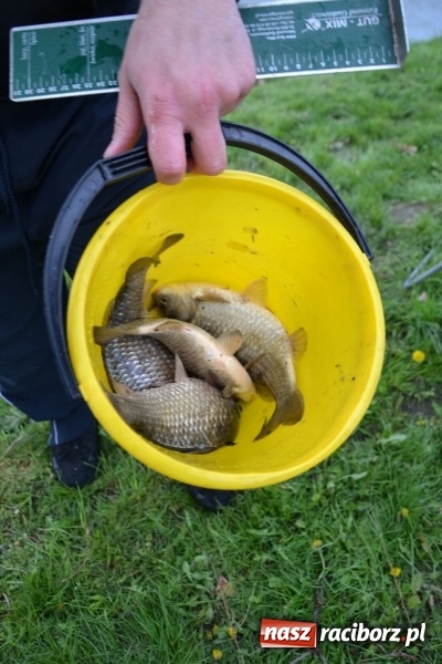 Zdjęcie w galerii na portalu naszraciborz.pl: Deszcz, grad, wiatr, czasem słońce na otwarcie sezonu wędkarskiego w Tworkowie  wiadomości z regionu