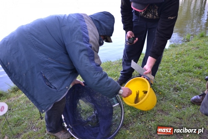 Zdjęcie w galerii na portalu naszraciborz.pl: Deszcz, grad, wiatr, czasem słońce na otwarcie sezonu wędkarskiego w Tworkowie  wiadomości z regionu
