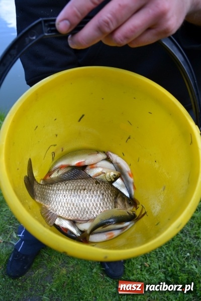 Zdjęcie w galerii na portalu naszraciborz.pl: Deszcz, grad, wiatr, czasem słońce na otwarcie sezonu wędkarskiego w Tworkowie  wiadomości z regionu