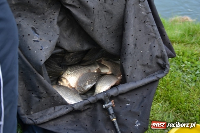 Zdjęcie w galerii na portalu naszraciborz.pl: Deszcz, grad, wiatr, czasem słońce na otwarcie sezonu wędkarskiego w Tworkowie  wiadomości z regionu