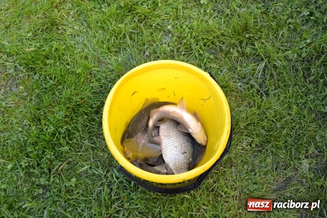 Zdjęcie w galerii na portalu naszraciborz.pl: Deszcz, grad, wiatr, czasem słońce na otwarcie sezonu wędkarskiego w Tworkowie  wiadomości z regionu