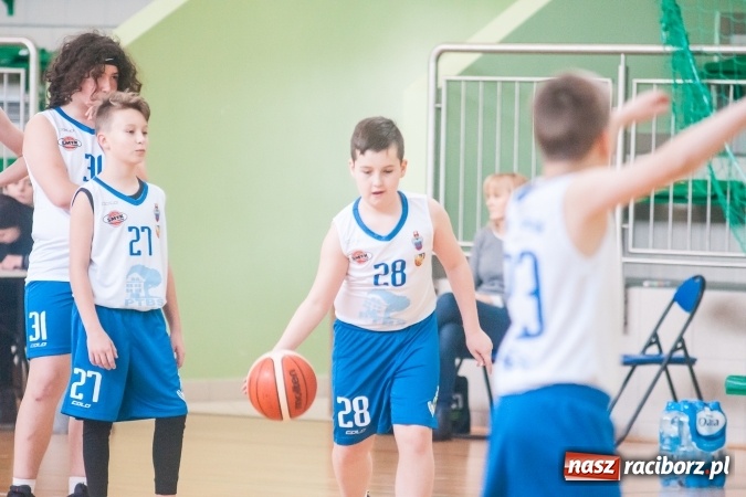 Zdjęcie w galerii na portalu naszraciborz.pl: Dwa zwycięstwa młodych koszykarzy Ofensywy wiadomości z regionu