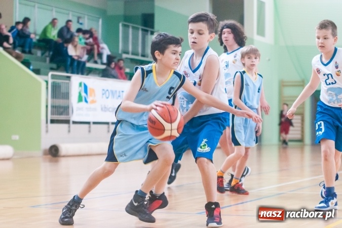 Zdjęcie w galerii na portalu naszraciborz.pl: Dwa zwycięstwa młodych koszykarzy Ofensywy wiadomości z regionu