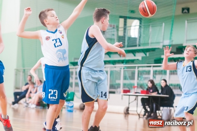 Zdjęcie w galerii na portalu naszraciborz.pl: Dwa zwycięstwa młodych koszykarzy Ofensywy wiadomości z regionu