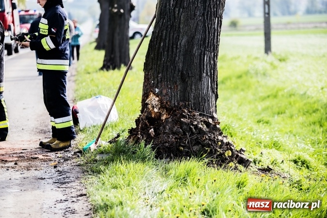 Zdjęcie w galerii na portalu naszraciborz.pl: Astra uderzyła w drzewo na trasie Bojanów-Krzanowice wiadomości z regionu