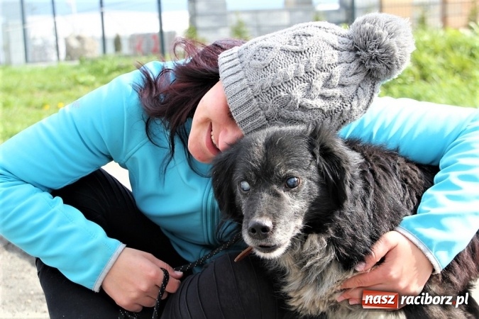 Zdjęcie w galerii na portalu naszraciborz.pl: Schronisko dla zwierząt walczy o karmę dla zwierząt - możesz pomóc!  wiadomości z regionu
