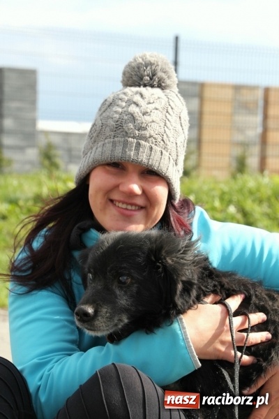 Zdjęcie w galerii na portalu naszraciborz.pl: Schronisko dla zwierząt walczy o karmę dla zwierząt - możesz pomóc!  wiadomości z regionu