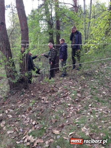 Zdjęcie w galerii na portalu naszraciborz.pl: Raciborski Związek Drużyn Harcerzy zorganizował II Turniej Zastępów wiadomości z regionu