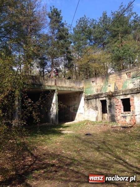 Zdjęcie w galerii na portalu naszraciborz.pl: Raciborski Związek Drużyn Harcerzy zorganizował II Turniej Zastępów wiadomości z regionu