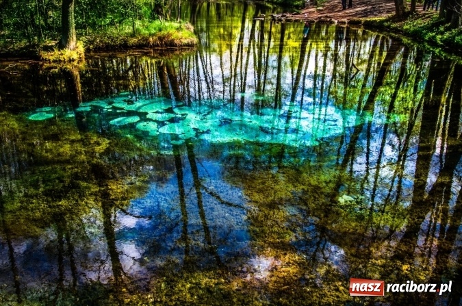 Zdjęcie w galerii na portalu naszraciborz.pl: Wartościowe wakacje? Postaw na rozwojowe obozy ze sztuką i przygodą! Biuro ORINOKO  przedstawia nowe propozycje!  wiadomości z regionu
