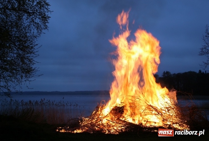 Zdjęcie w galerii na portalu naszraciborz.pl: Wartościowe wakacje? Postaw na rozwojowe obozy ze sztuką i przygodą! Biuro ORINOKO  przedstawia nowe propozycje!  wiadomości z regionu