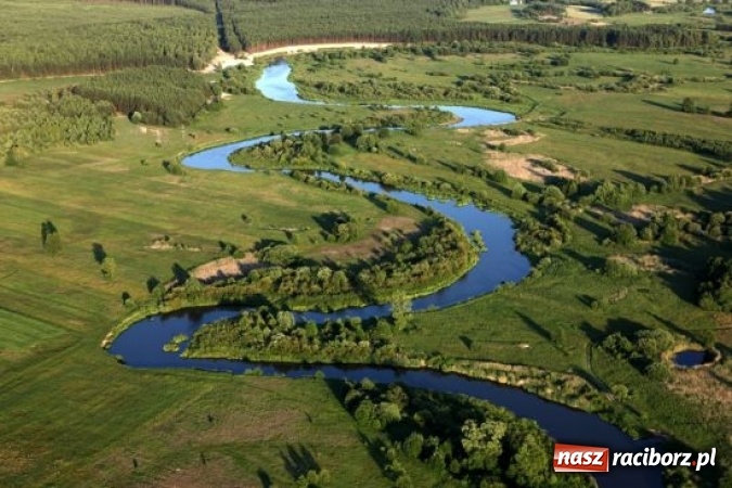Zdjęcie w galerii na portalu naszraciborz.pl: Wartościowe wakacje? Postaw na rozwojowe obozy ze sztuką i przygodą! Biuro ORINOKO  przedstawia nowe propozycje!  wiadomości z regionu