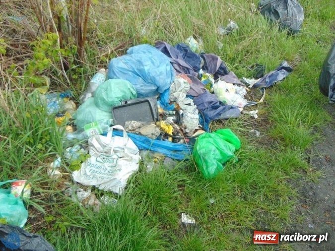 Zdjęcie w galerii na portalu naszraciborz.pl: Kolejna akcja sprzątania łowisk, tym razem w Sudole i Studziennej wiadomości z regionu