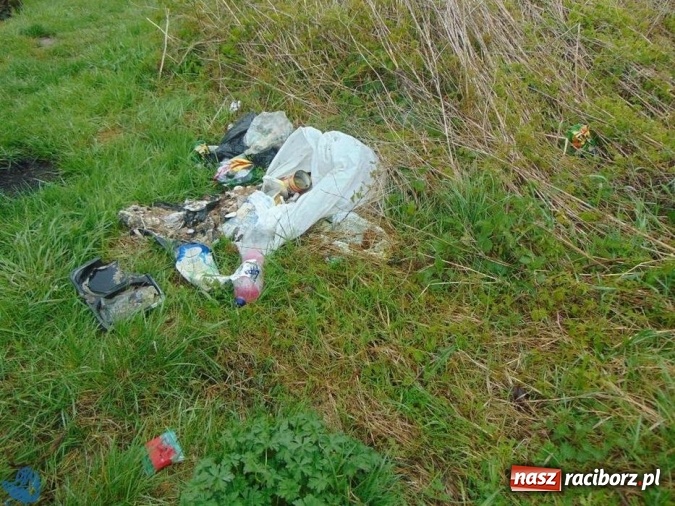 Zdjęcie w galerii na portalu naszraciborz.pl: Kolejna akcja sprzątania łowisk, tym razem w Sudole i Studziennej wiadomości z regionu