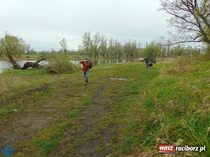 Zdjęcie w galerii na portalu naszraciborz.pl: Kolejna akcja sprzątania łowisk, tym razem w Sudole i Studziennej wiadomości z regionu