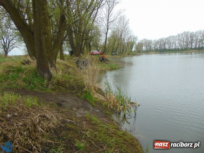 Zdjęcie w galerii na portalu naszraciborz.pl: Kolejna akcja sprzątania łowisk, tym razem w Sudole i Studziennej wiadomości z regionu