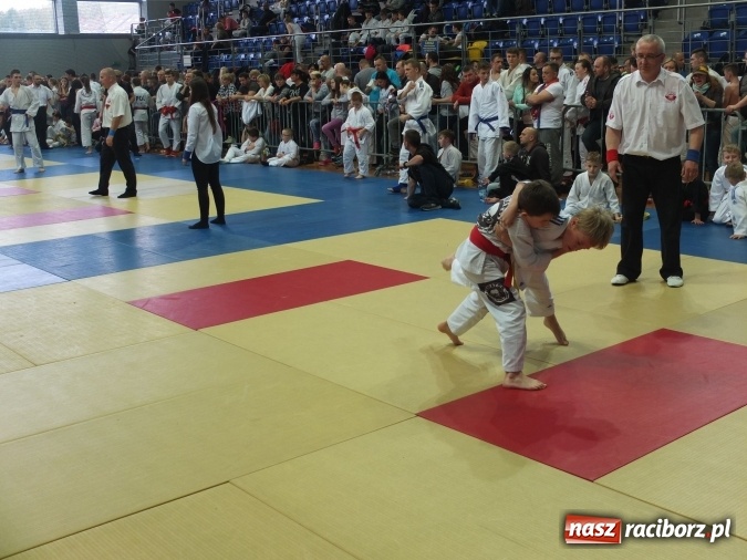 Zdjęcie w galerii na portalu naszraciborz.pl: Najmłodsi raciborzanie na katowickich matach  wiadomości z regionu