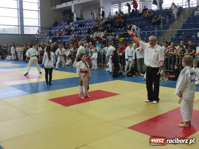 Zdjęcie w galerii na portalu naszraciborz.pl: Najmłodsi raciborzanie na katowickich matach  wiadomości z regionu